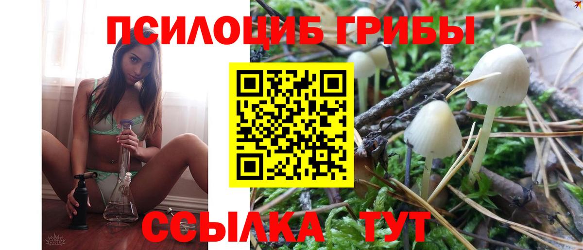Псилоцибиновые грибы Psilocybe  Вход с VPN  Улан-Удэ 
